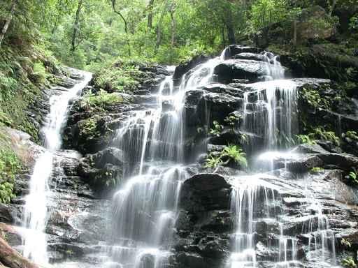 Cascade Wall Decal Design 2