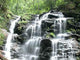 Cascade Wall Decal Design 2