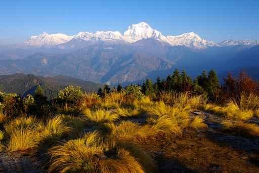 From Poon Hill 3210m Wall Decal