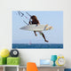 Man Kitesurfing Wall Mural