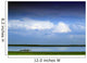Horses By Lake On Overcast Day Wall Mural