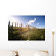 Fence In A Field Wall Mural