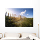 Fence In A Field Wall Mural