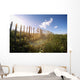 Fence In A Field Wall Mural