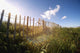 Fence In A Field Wall Mural