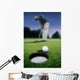 Golf Ball Near Cup Wall Mural