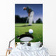 Golf Ball Near Cup Wall Mural