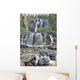 Tangle Falls, Jasper National Park, Alberta, Canada Wall Mural