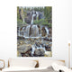 Tangle Falls, Jasper National Park, Alberta, Canada Wall Mural
