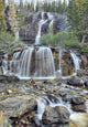 Tangle Falls, Jasper National Park, Alberta, Canada Wall Mural