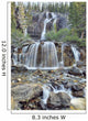 Tangle Falls, Jasper National Park, Alberta, Canada Wall Mural