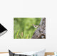 Spotted Sandpiper On A Tree Trunk Wall Mural