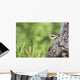 Spotted Sandpiper On A Tree Trunk Wall Mural