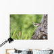 Spotted Sandpiper On A Tree Trunk Wall Mural