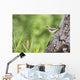 Spotted Sandpiper On A Tree Trunk Wall Mural