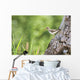 Spotted Sandpiper On A Tree Trunk Wall Mural