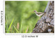 Spotted Sandpiper On A Tree Trunk Wall Mural