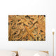 Dried Starfish On A Street Market In Hong Kong, China Wall Mural