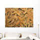 Dried Starfish On A Street Market In Hong Kong, China Wall Mural
