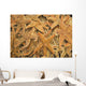 Dried Starfish On A Street Market In Hong Kong, China Wall Mural