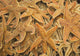 Dried Starfish On A Street Market In Hong Kong, China Wall Mural