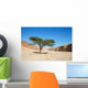 Acacia Tree Desert near Wall Decal
