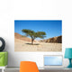 Acacia Tree Desert near Wall Decal