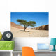 Acacia Tree Desert near Wall Decal