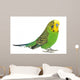 Portrait Budgerigar
