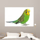Portrait Budgerigar