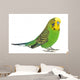 Portrait Budgerigar