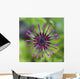 Purple Flower In Bloom Wall Mural