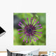 Purple Flower In Bloom Wall Mural