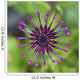 Purple Flower In Bloom Wall Mural