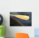 Canoe Paddle Wall Mural