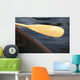 Canoe Paddle Wall Mural