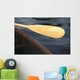 Canoe Paddle Wall Mural