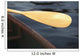 Canoe Paddle Wall Mural