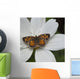 Butterfly On White Flower Wall Mural
