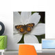 Butterfly On White Flower Wall Mural