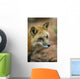 Red Fox Wall Mural