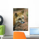 Red Fox Wall Mural