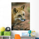 Red Fox Wall Mural