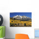 Aspen Trees In Autumn, Rocky Mountains, Colorado, Usa Wall Mural