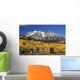 Aspen Trees In Autumn, Rocky Mountains, Colorado, Usa Wall Mural