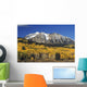 Aspen Trees In Autumn, Rocky Mountains, Colorado, Usa Wall Mural