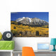 Aspen Trees In Autumn, Rocky Mountains, Colorado, Usa Wall Mural