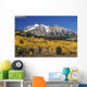 Aspen Trees In Autumn, Rocky Mountains, Colorado, Usa Wall Mural