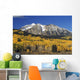 Aspen Trees In Autumn, Rocky Mountains, Colorado, Usa Wall Mural