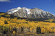 Aspen Trees In Autumn, Rocky Mountains, Colorado, Usa Wall Mural